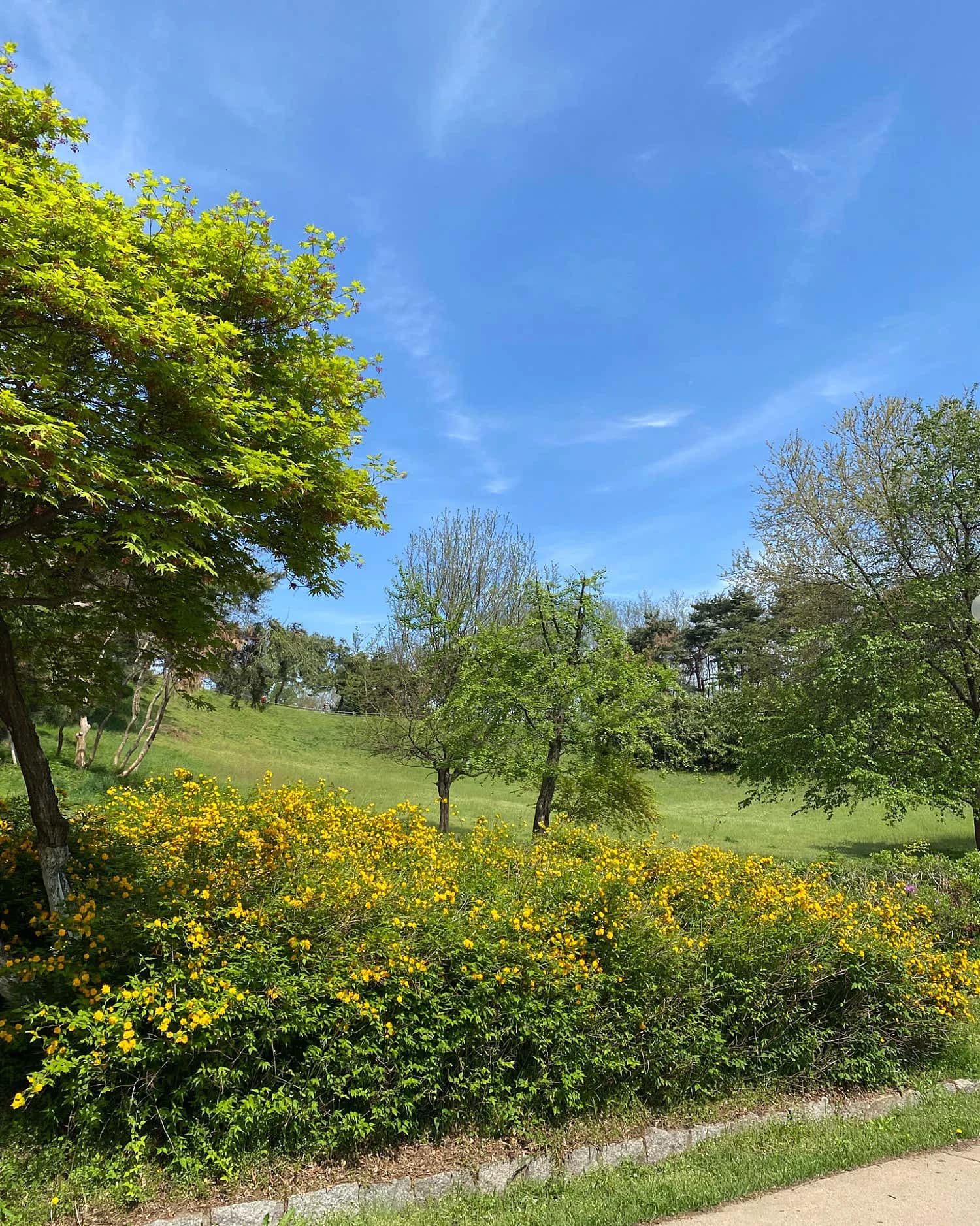 Mongchontoseong Fortress-image
