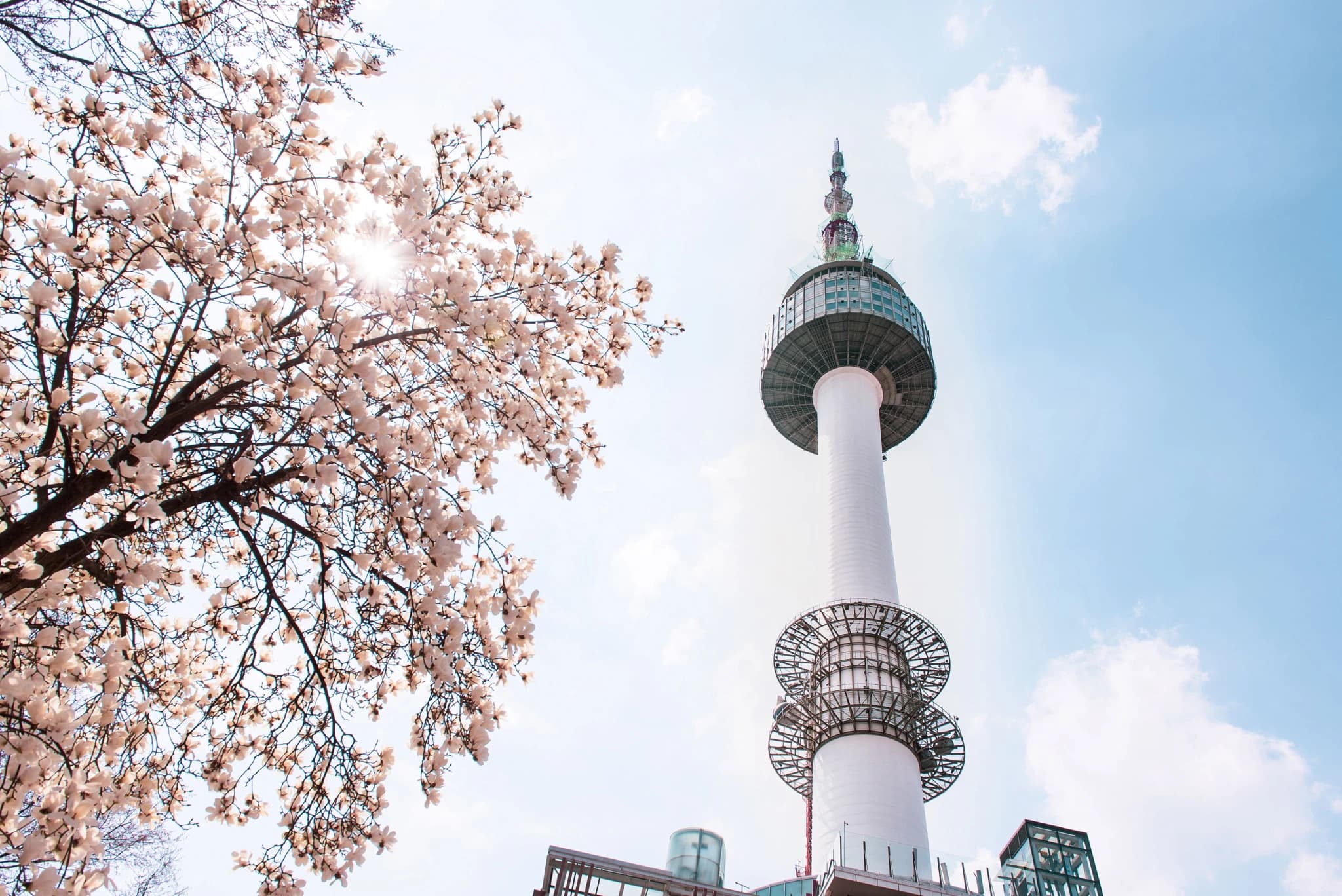 Namsan Seoul Tower-image