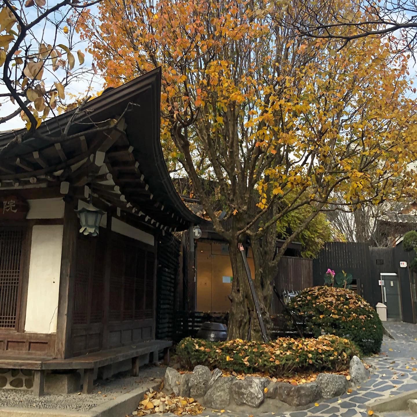 Insadong Traditional Teahouse Jeontong Dawon