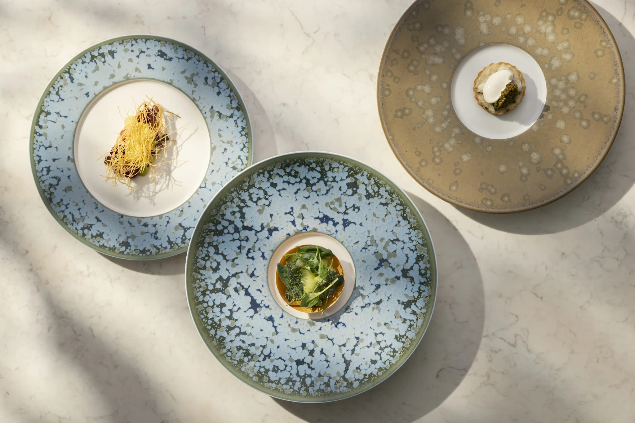 Festa by mingoo-image